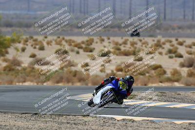 media/Apr-10-2022-SoCal Trackdays (Sun) [[f104b12566]]/Turn 5 Tree of Life (1040am)/